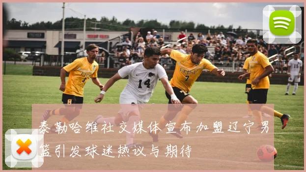 泰勒哈维社交媒体宣布加盟辽宁男篮引发球迷热议与期待