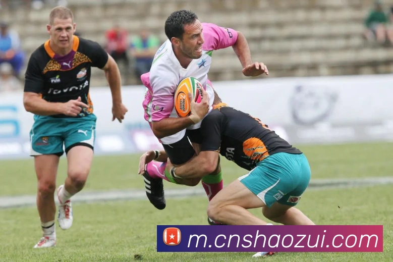 多媒体互动体验